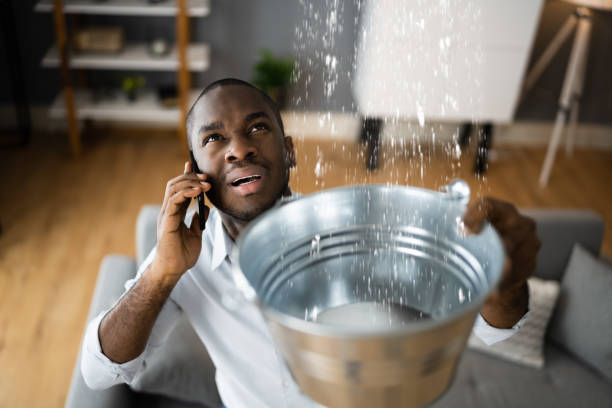 Best Professional water damage repair  in Mustang Ridge, TX