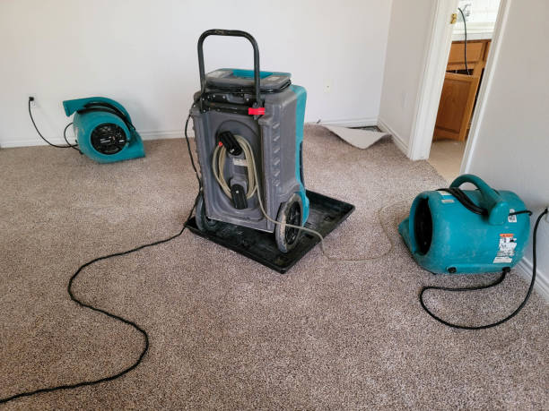 Best Flooded house restoration  in Mustang Ridge, TX