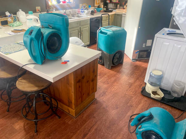 Best Residential water damage restoration  in Mustang Ridge, TX
