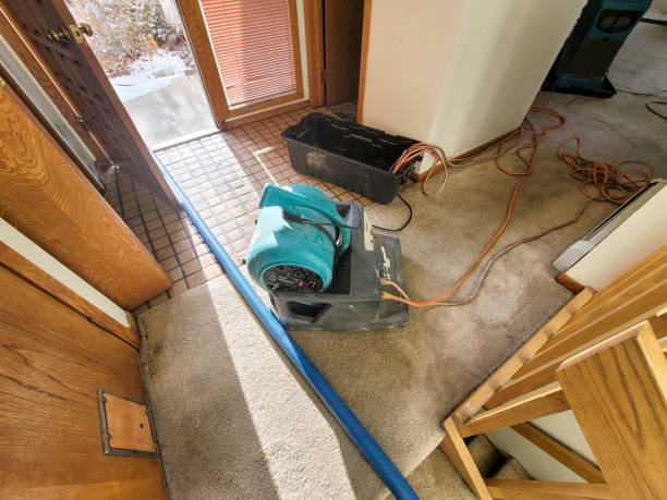 Best Sewage cleanup and water damage restoration  in Mustang Ridge, TX