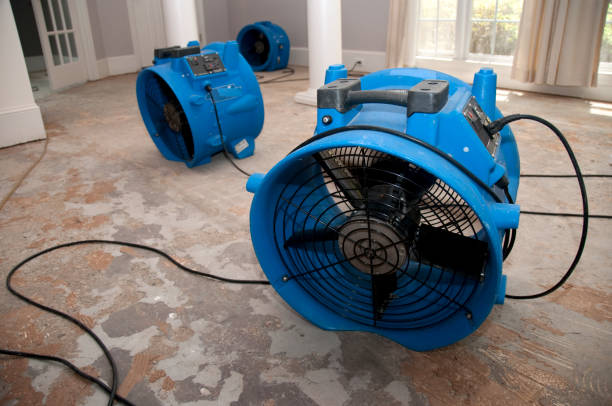 Best Commercial water damage restoration  in Mustang Ridge, TX