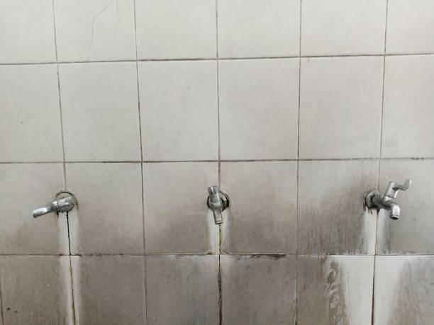Best Water damage restoration near me  in Mustang Ridge, TX