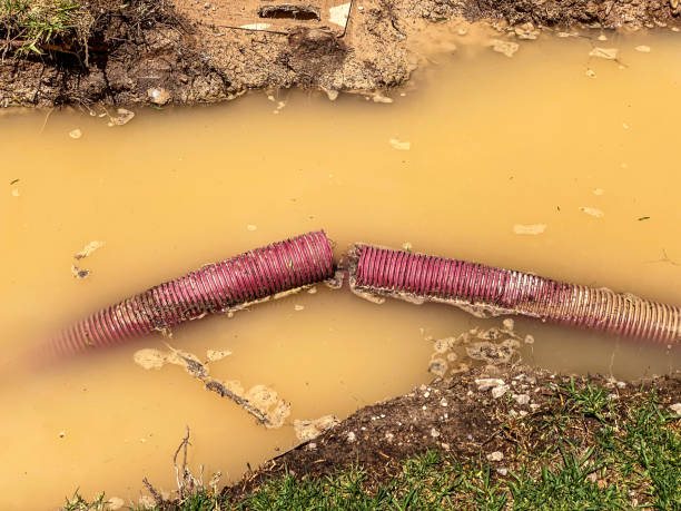 Best Water damage contractors near me  in Mustang Ridge, TX