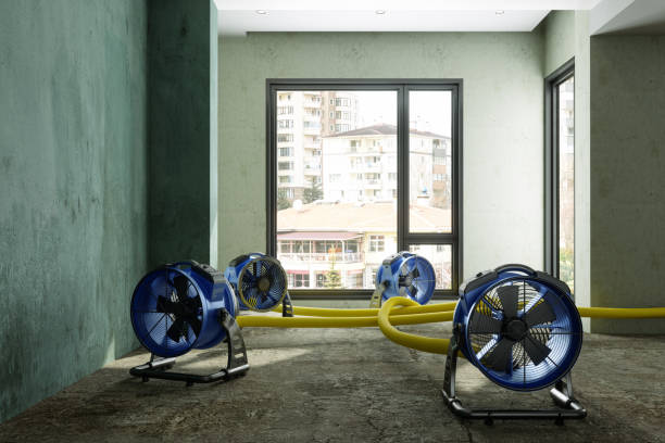 Best Flood restoration services  in Mustang Ridge, TX